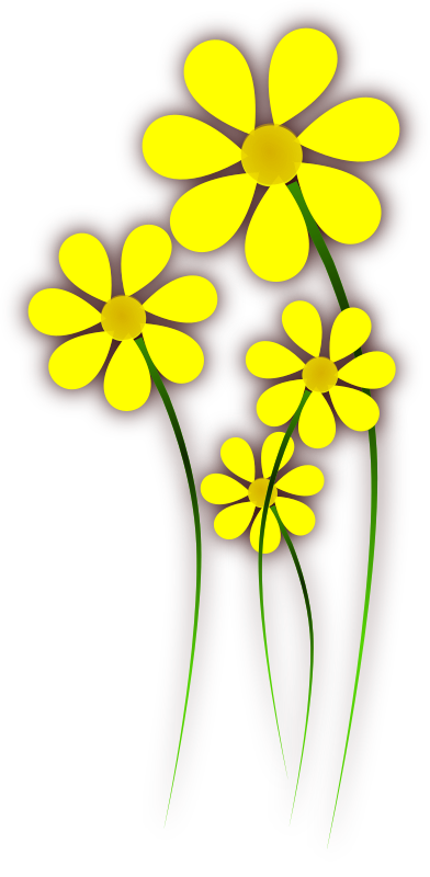 Daisies