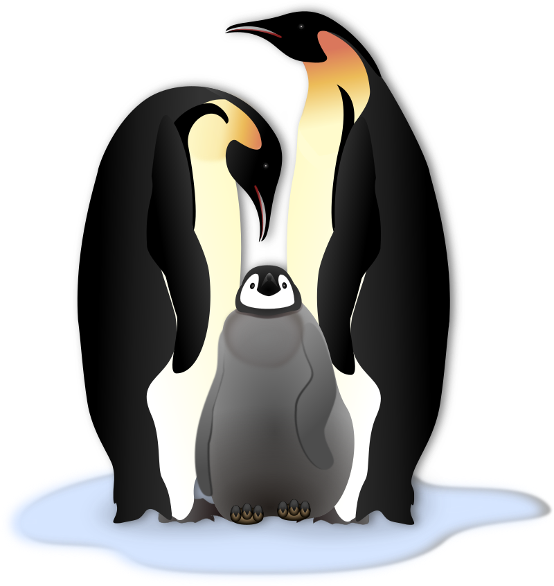 Pinguin Familie - Openclipart