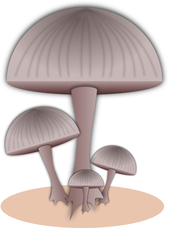 Mushroom