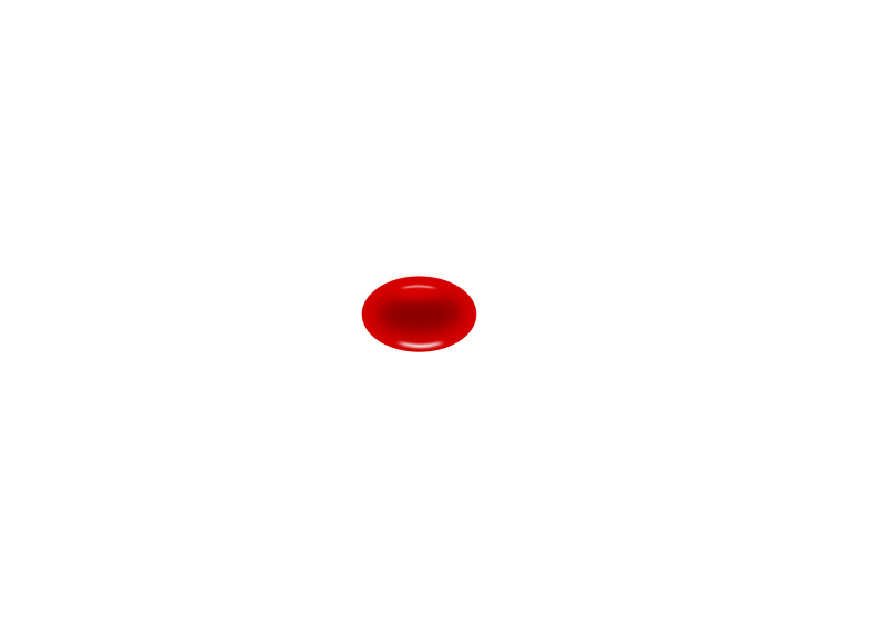 erithrocyte