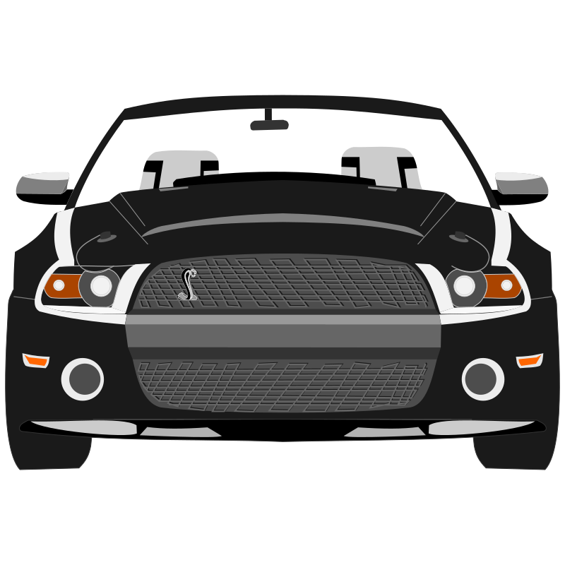 Mustang Shelby GT500