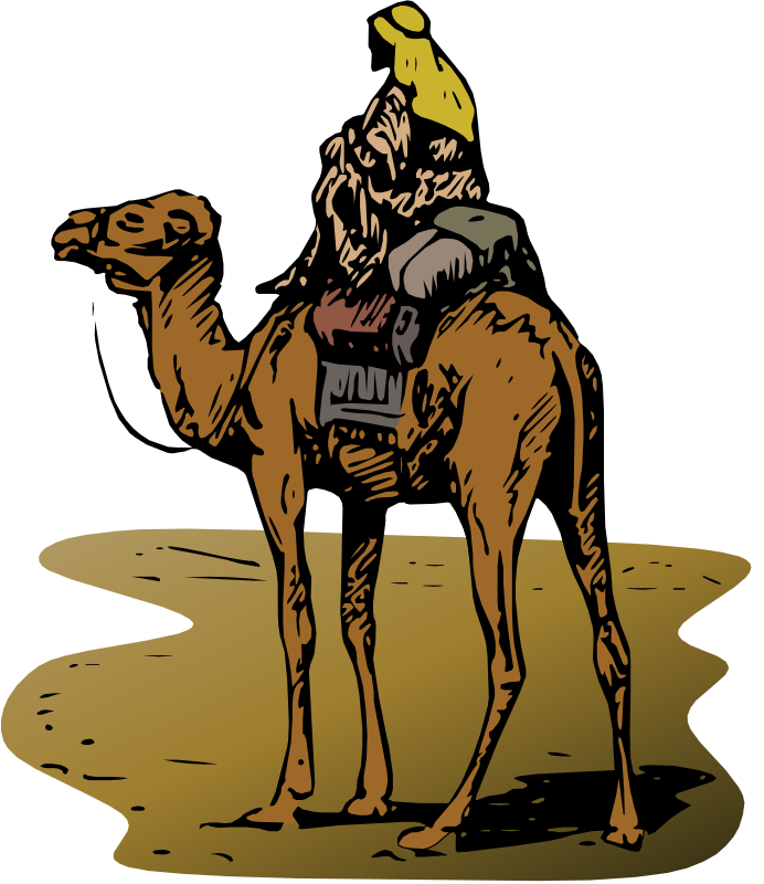 Camel with Rider