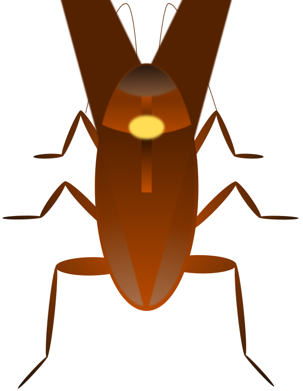 Cockroach. Cucaracha