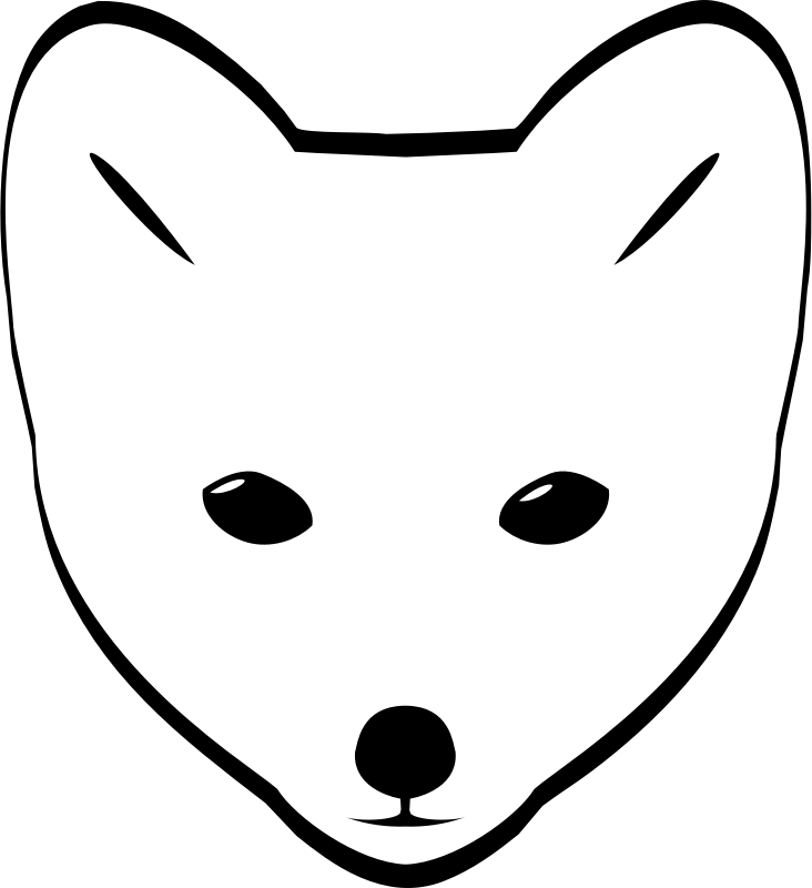 Arctic Fox head