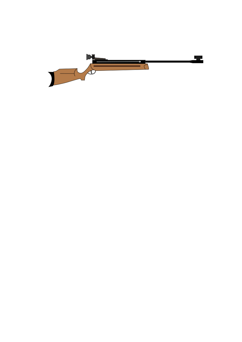 air rifle