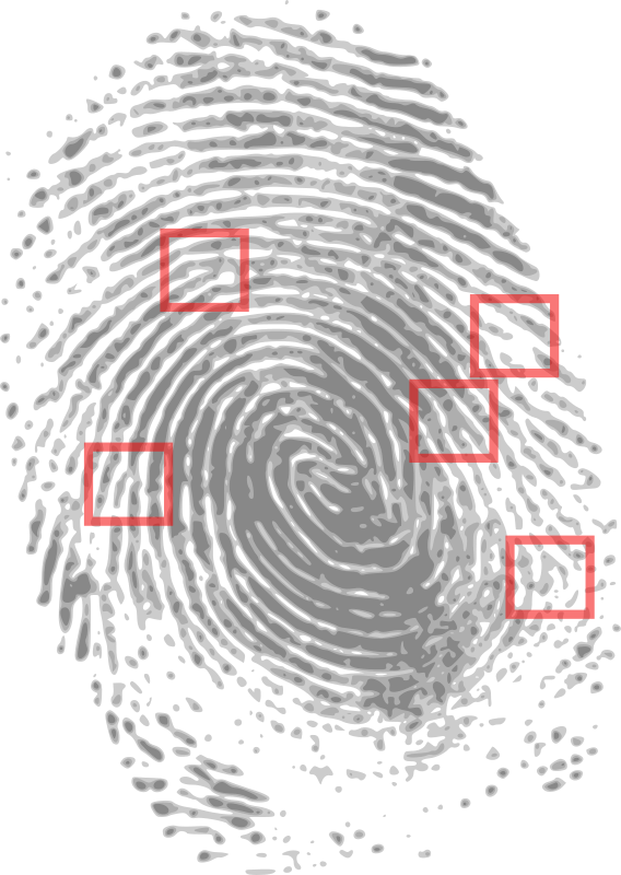 Fingerprint