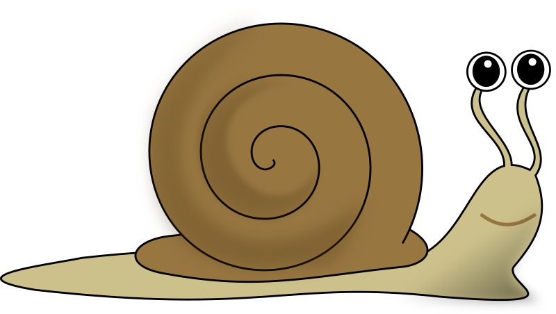 snail-escargot-decroissance