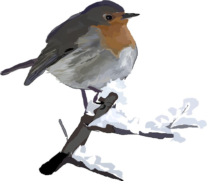 Robin