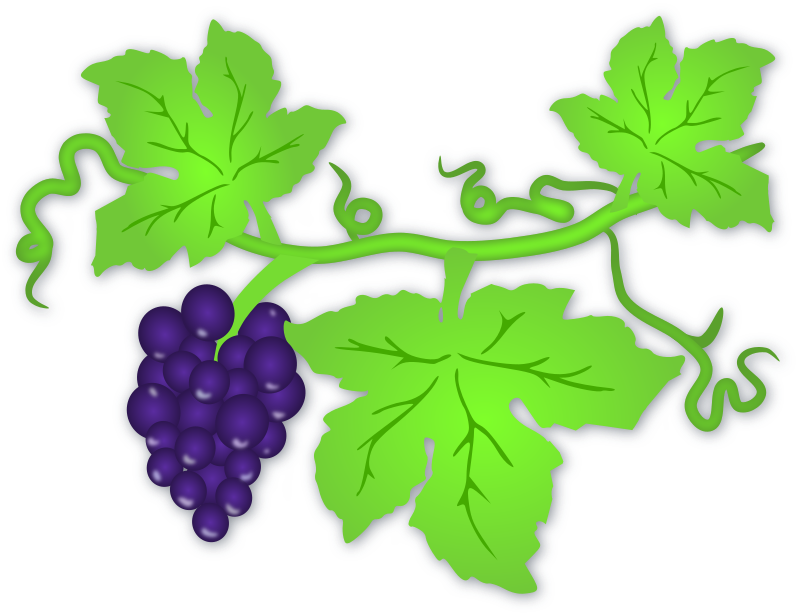 Grapes