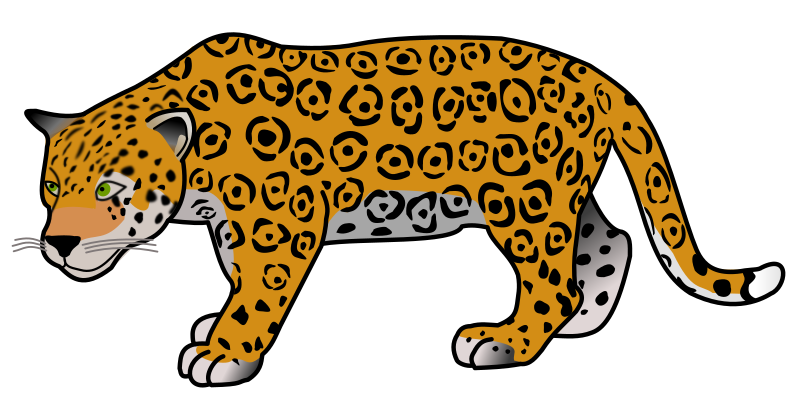 Jaguar