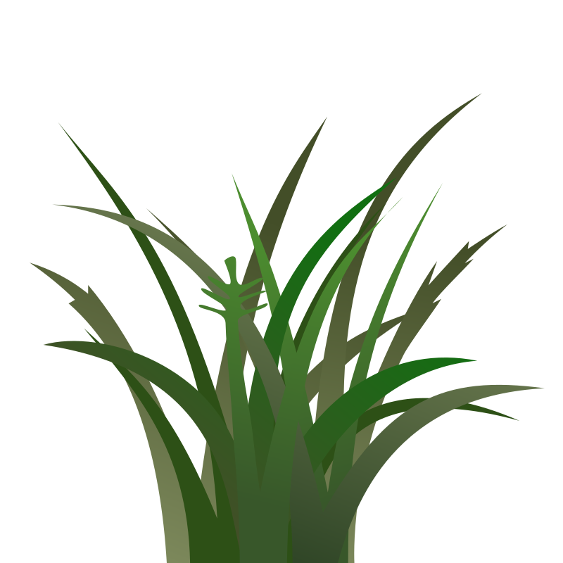 Dark Grass