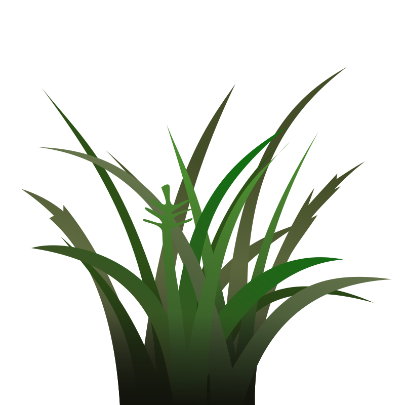 Dark Grass Shaded