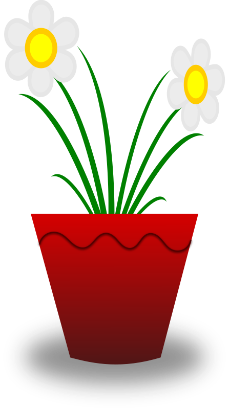 Flower Pot