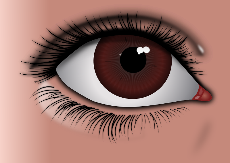 Realistic Brown Eye