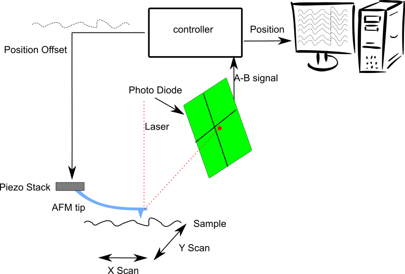 AFM diagram