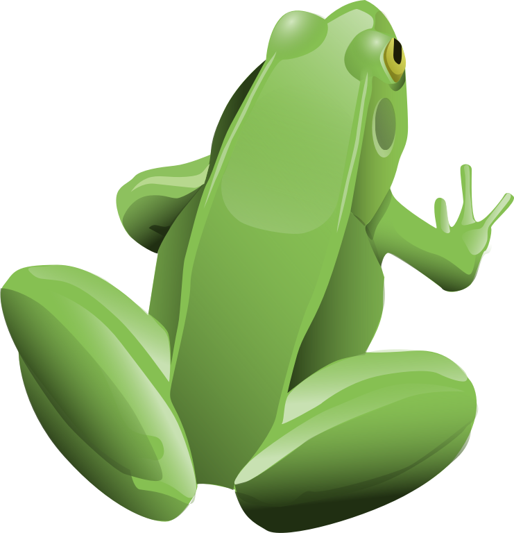 Cool Frog