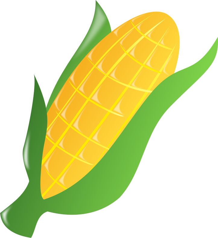 Corn ns