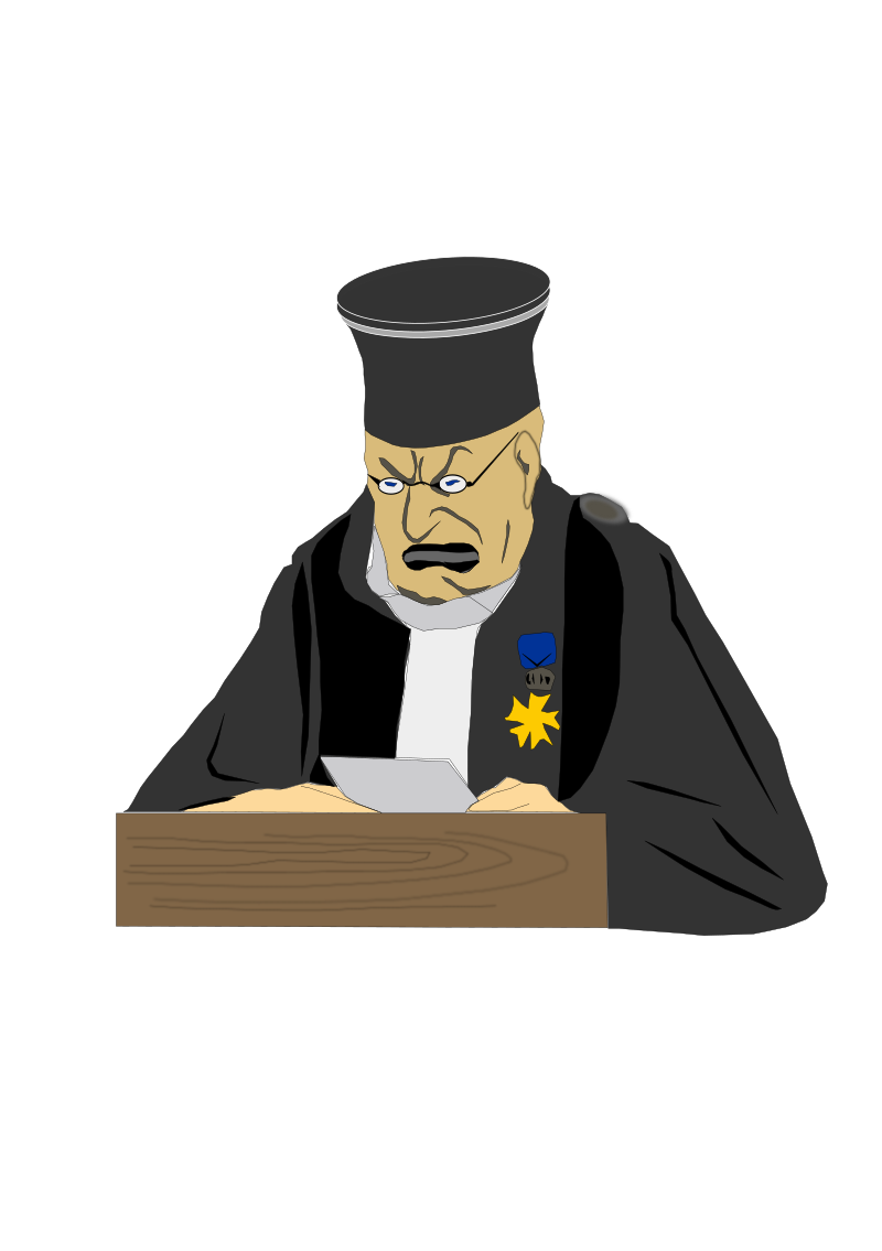 The Judge