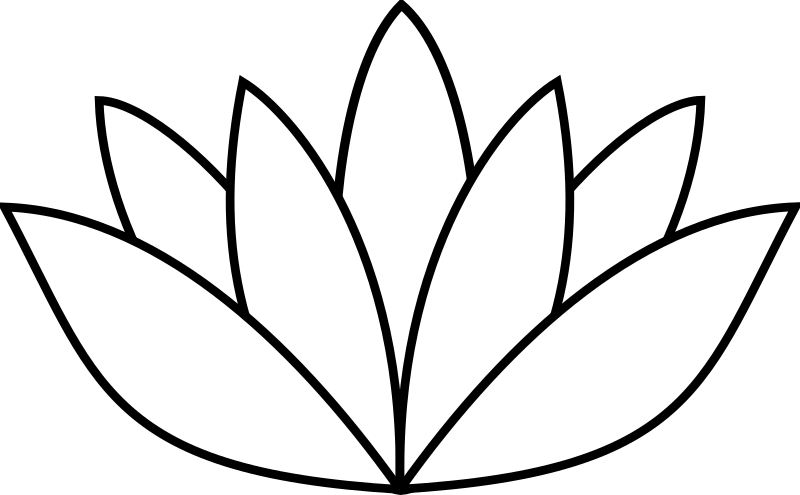 white lotus flower