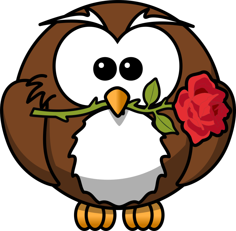 Owl with rose