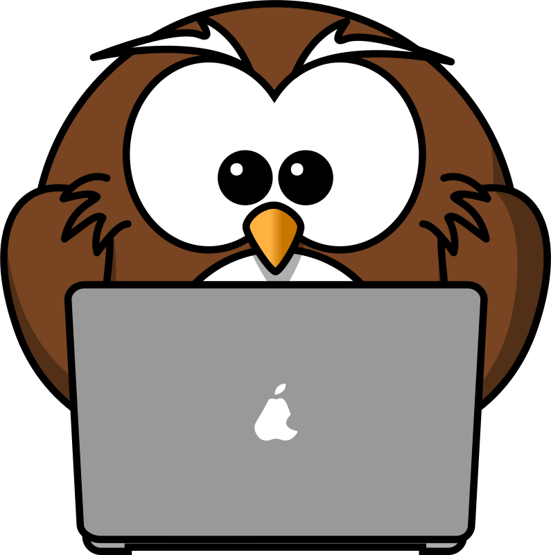 Owl with notebook