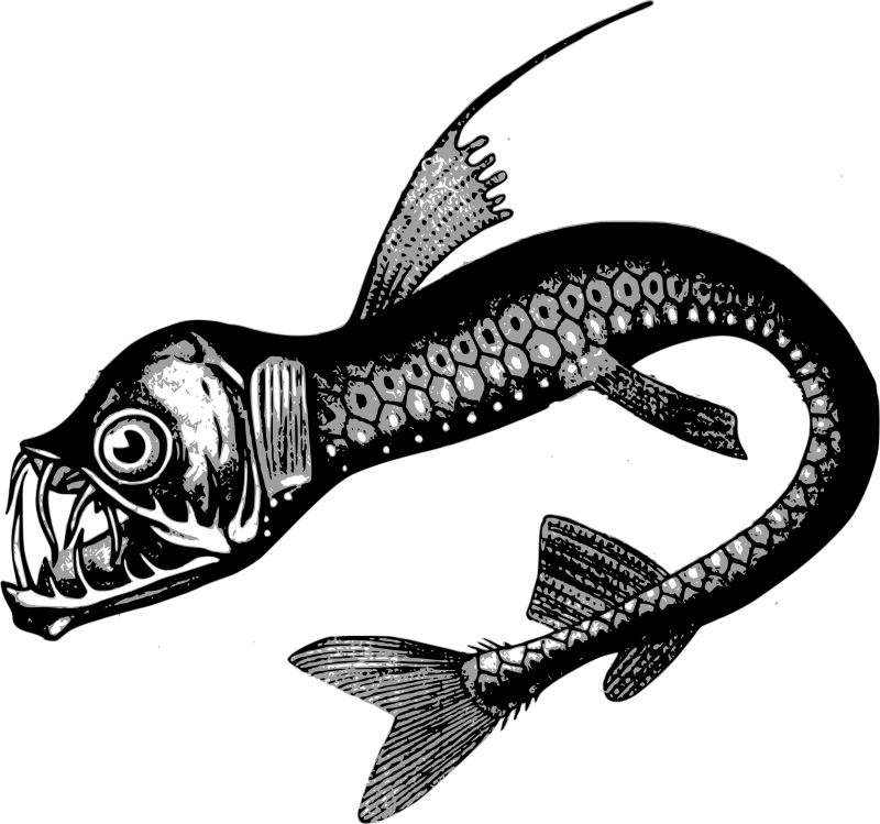 Fish Line Art - Openclipart