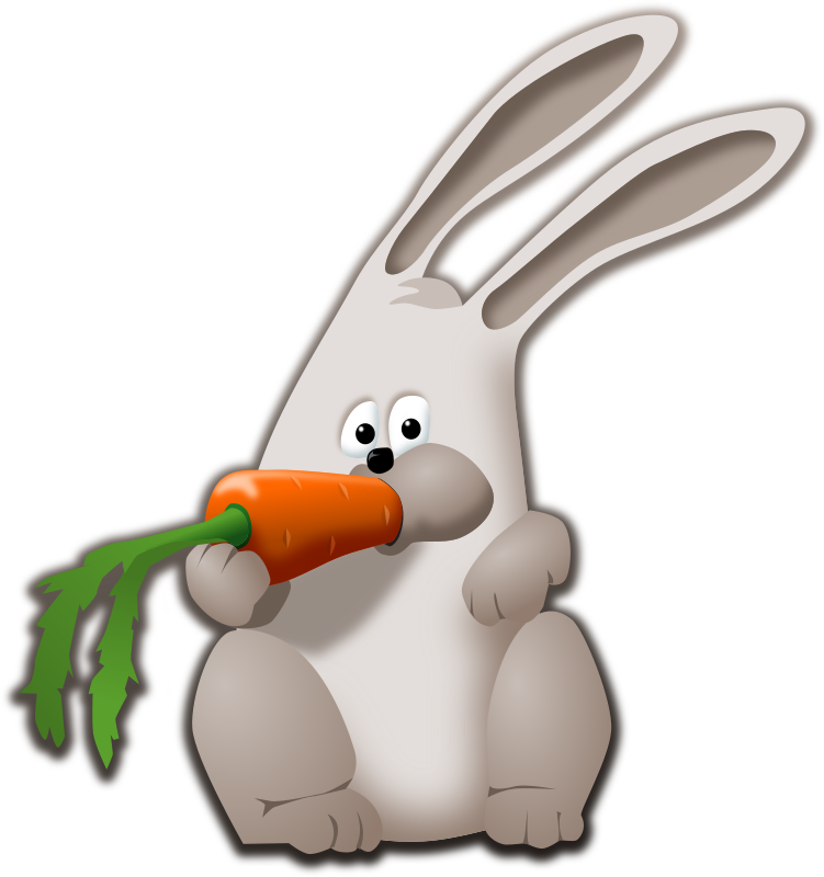 bunny eating carrot