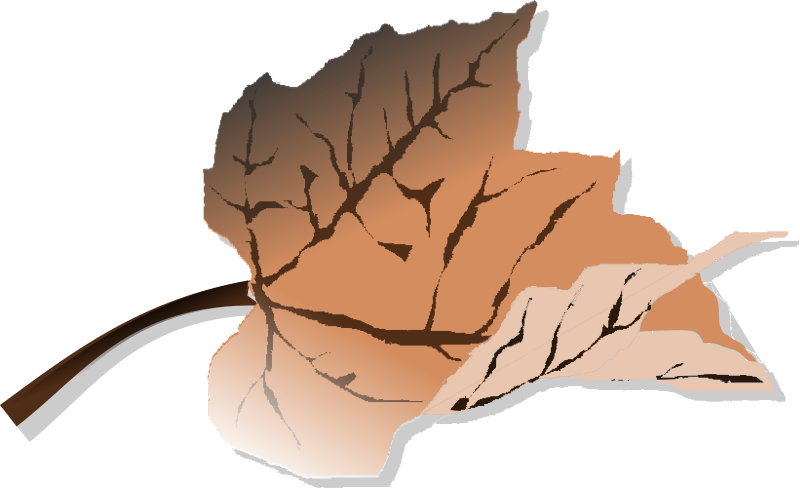 Brown leaf