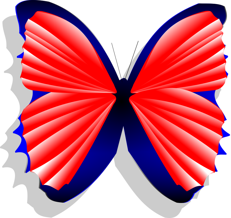 blue and pink butterfly