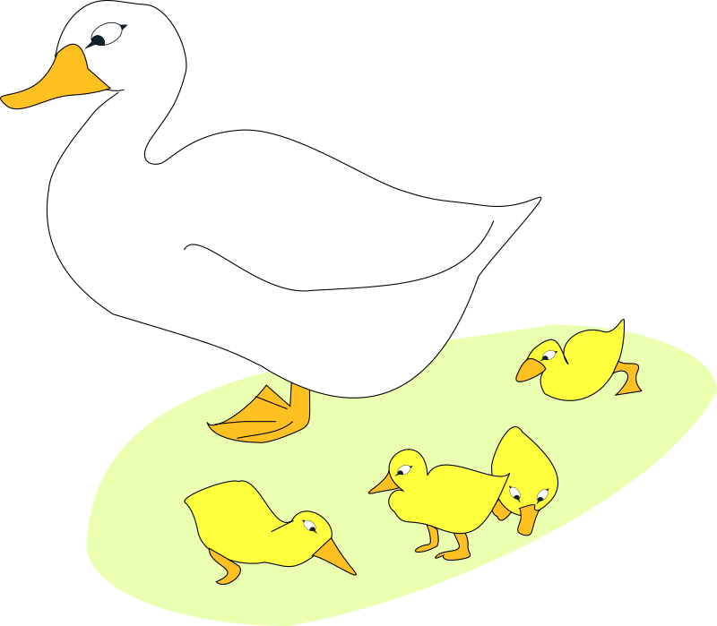 Goose and goslings