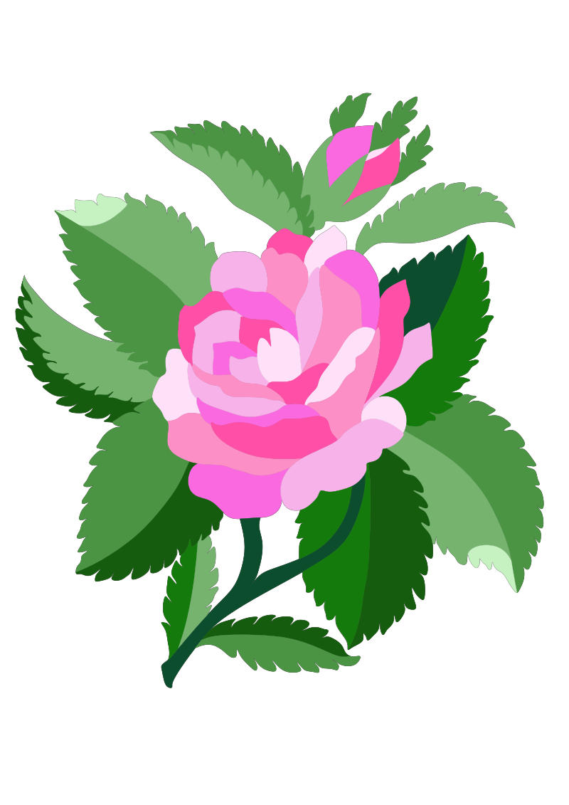 Design for damask rose