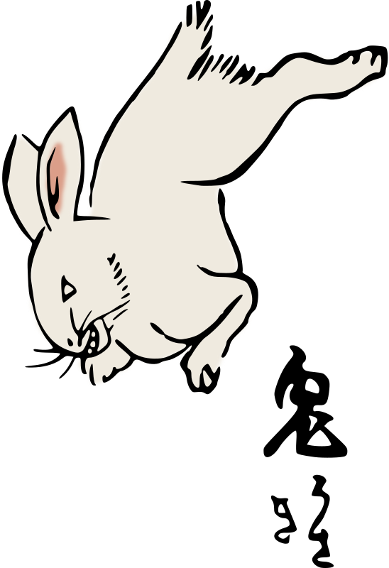 Rabbit