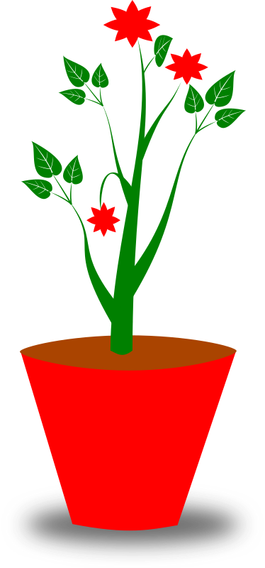 Flower Pot