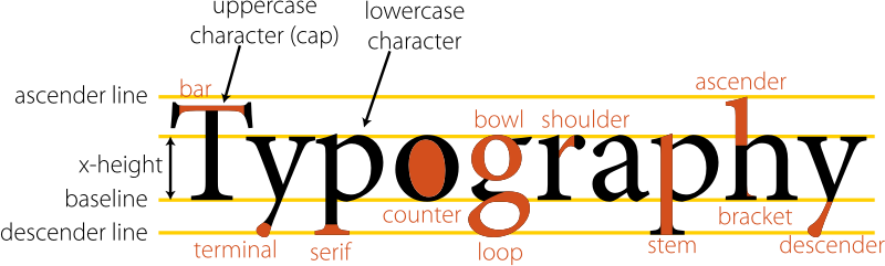 Anatomy of type