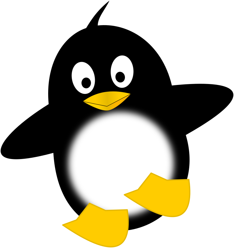 Little funny penguin