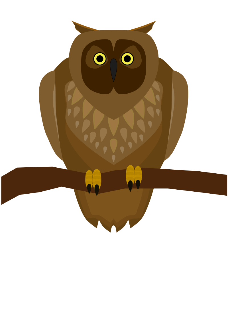 Owl