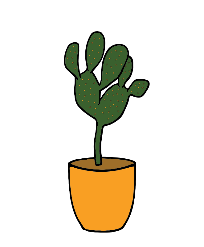 Cactus - Plants 001