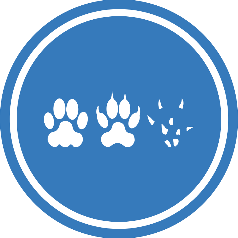 Cat-Dog-Mouse Unification Peace Logo