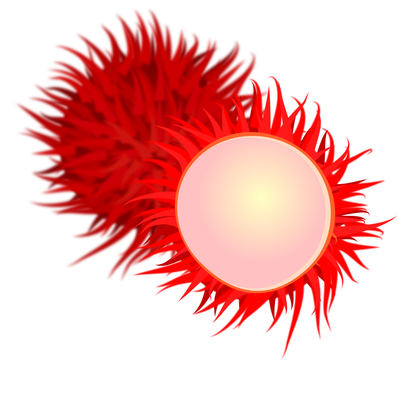 rambutan