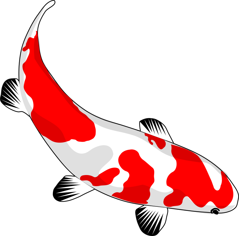 koi