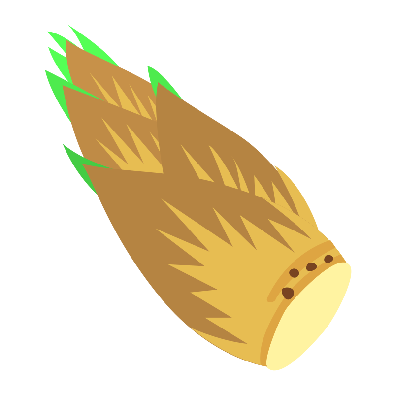 bamboo shoot