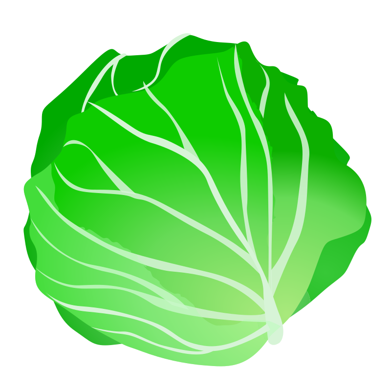 cabbage