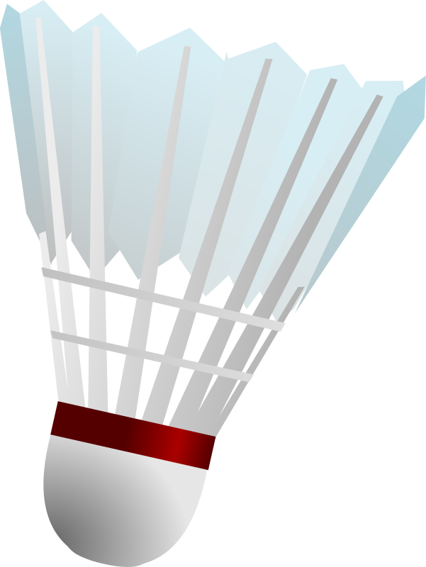 Badminton Shuttlecock