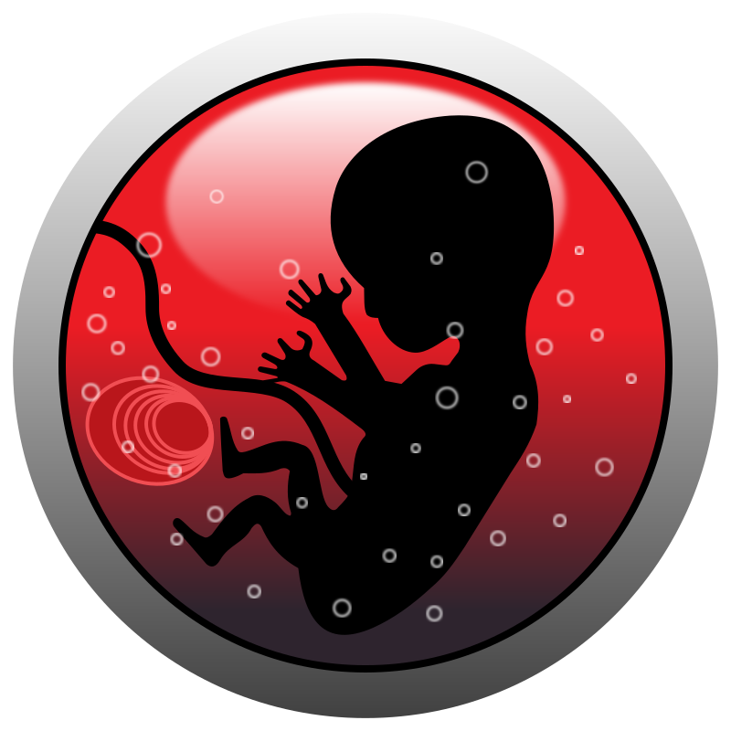 Human embryo (silhouette)