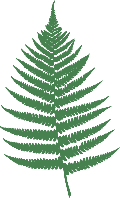 Fern leaf