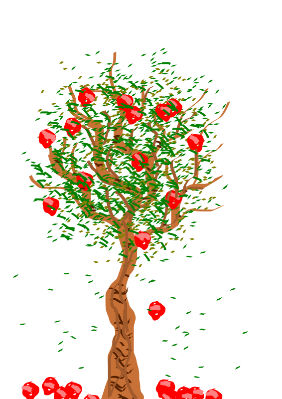 Apple Tree