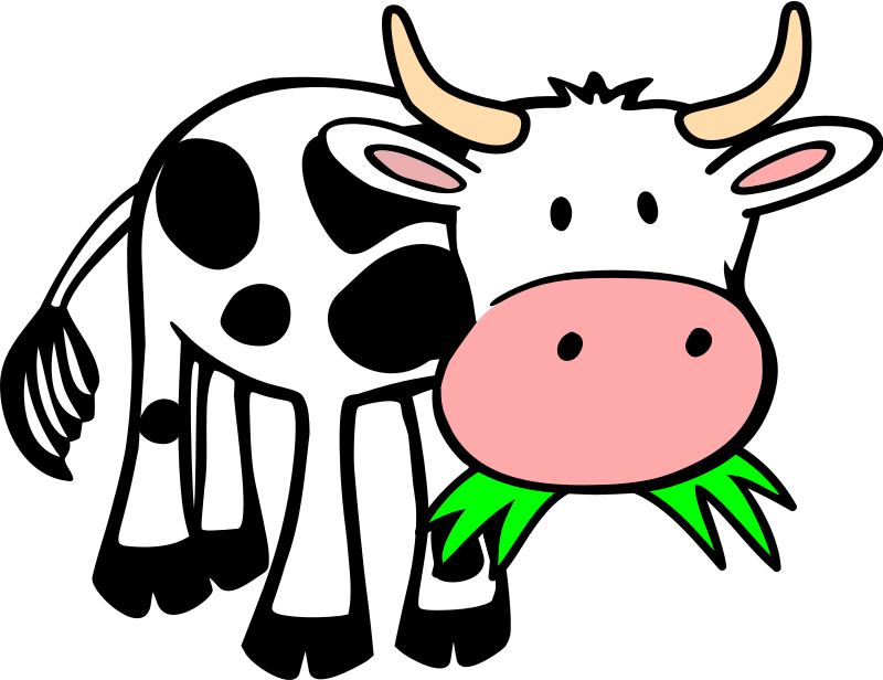 Grass-eating cow