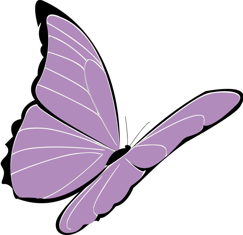 purple butterfly