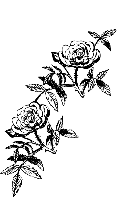 Rose decoration