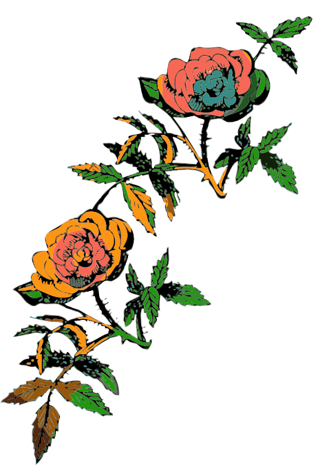 Rose decoration in color